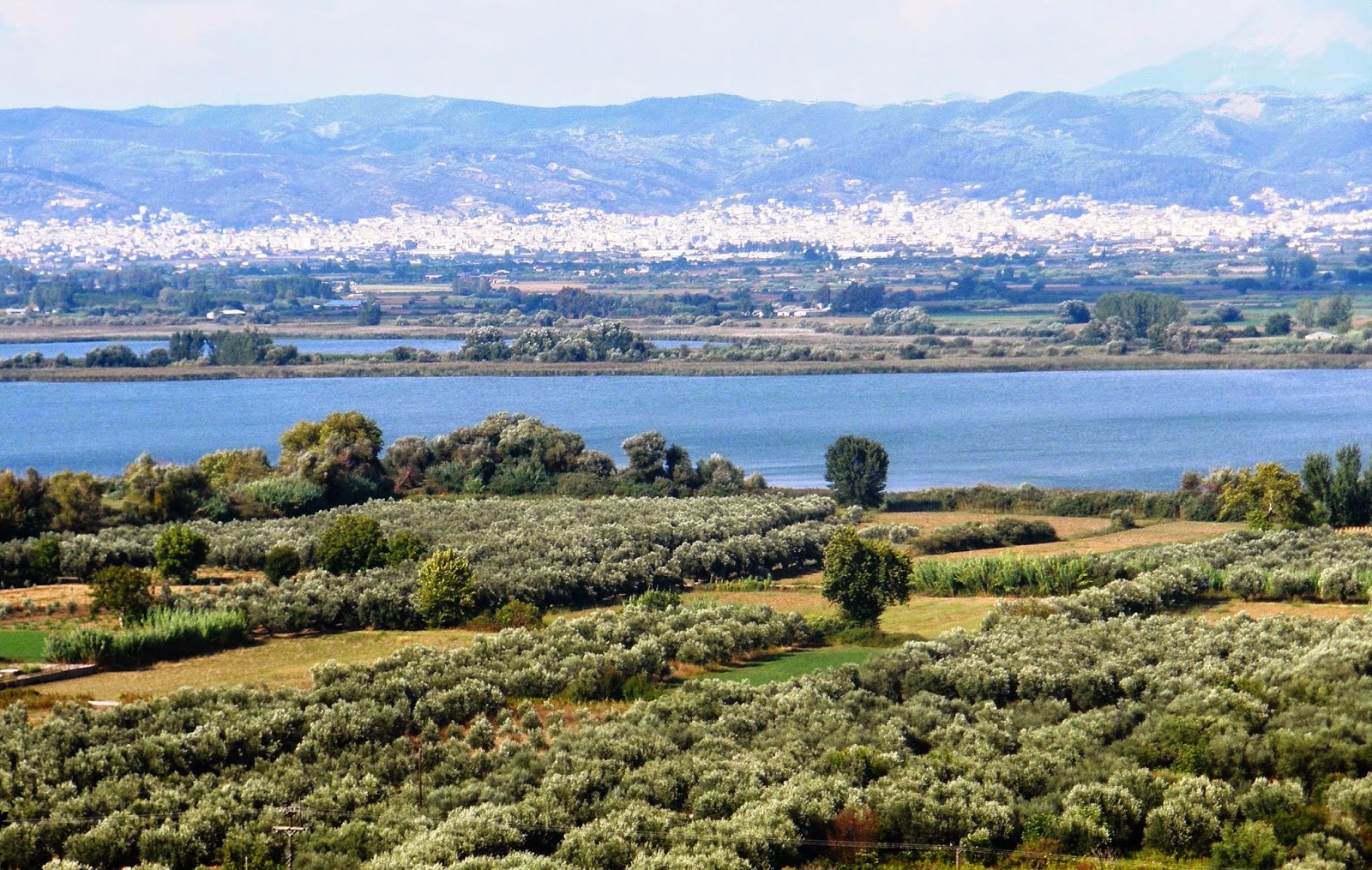 Πάτρα: Έκθεση φωτογραφίας της ΟΙΚΙΠΑ με θέμα  Οι προστατευόμενες περιοχές της Δυτικής Ελλάδας - Φωτογραφία 2