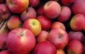 Δέσμευση μήλων προέλευσης Βελγίου