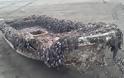 Βάρκα - «τέρας» από τη Φουκουσίμα ξεβράστηκε στο Σιάτλ των ΗΠΑ