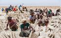Εξόρυξη αλατιού με τα χέρια στην έρημο της Αιθιοπίας!