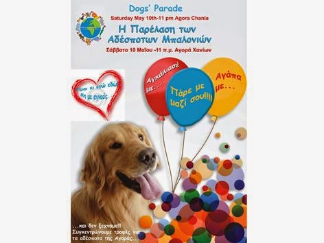 Χανιά: Dogs Parade απο τον Φιλοζωικό Σύλλογο - Φωτογραφία 2