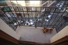 Η απίστευτη διαμόρφωση ενός μικρού μπαλκονιού - Δεν θα πιστεύετε στα μάτια σας! [photos]