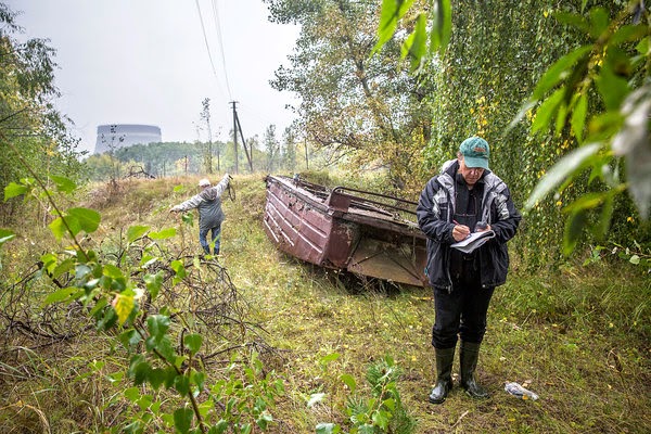 Τι συμβαίνει σε ένα δάσος στο Τσερνόμπιλ 28 χρόνια μετά την έκρηξη - Φωτογραφία 2