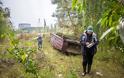 Τι συμβαίνει σε ένα δάσος στο Τσερνόμπιλ 28 χρόνια μετά την έκρηξη - Φωτογραφία 2