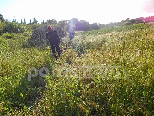 Ηλεία: Άκαρπες οι έρευνες για τον εντοπισμό του 46χρονου Λ. Γιαννόπουλου - Φωτογραφία 3