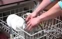 Εξαφανίστε τα μικρόβια από το πλυντήριο των πιάτων