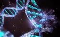 Οργανισμός με «εξωγήινο» DNA