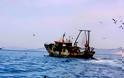 4760 - Παράνομοι αλιείς απειλούν με πυρκαγιές τους Αγιορείτες