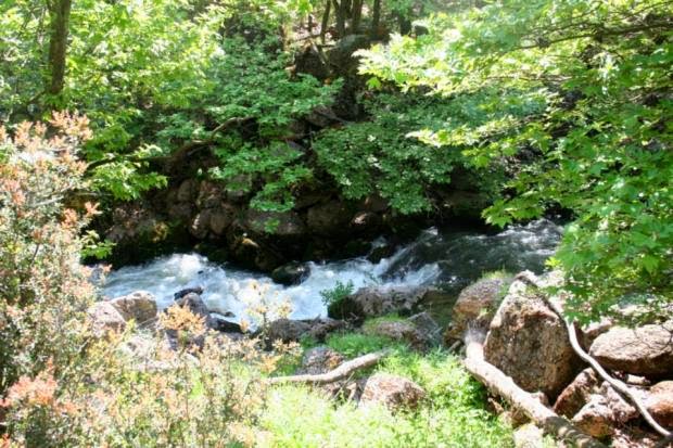 Αχαΐα: Στα χνάρια του οδοντωτού - Δείτε φωτο από το πέρασμα στο φαράγγι του Βουραϊκού - Φωτογραφία 10