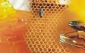 Πως να διακρίνετε αν το μέλι είναι νοθευμένο! [photos]