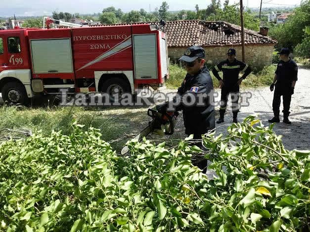 Ο δυνατός αέρας ξερίζωσε δέντρα στη Λαμία και τα έριξε μέσα δρόμο - Από τύχη δεν έγινε κάποιο ατύχημα [photos] - Φωτογραφία 4