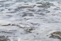 Ξεβράστηκε σε παραλία της Λιβύης νεκρός μετανάστης! Σοκαριστικές φωτογραφίες!