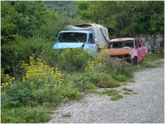 Και όμως συμβαίνει! Από τους 35 κατοίκους σε ένα χωριό οι 21 ονομάζονται Μανουσάκη! - Φωτογραφία 6