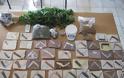 Φθιώτιδα: Κατασχέθηκαν δενδρύλια χασίς και 48 σουγιάδες - στιλέτα! [photos] - Φωτογραφία 3