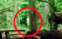 Πραγματικό «Blair Witch Project»; Δύο γυναίκες ακούν μία τρομακτική παιδική φωνή σε δάσος και βλέπουν φάντασμα [photos]