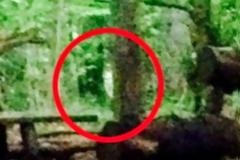 Πραγματικό «Blair Witch Project»; Δύο γυναίκες ακούν μία τρομακτική παιδική φωνή σε δάσος και βλέπουν φάντασμα [photos]
