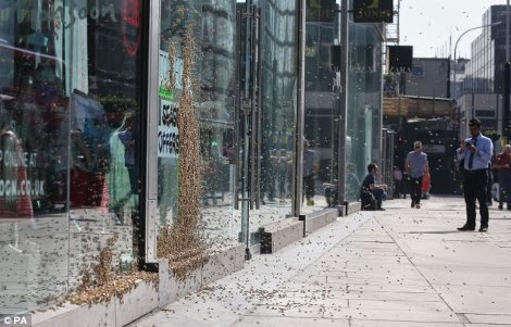 Σκηνές από ταινία τρόμου στο κέντρο του Λονδίνου: Χιλιάδες μέλισσες κάλυψαν αυτοκίνητα και περαστικούς - Φωτογραφία 6