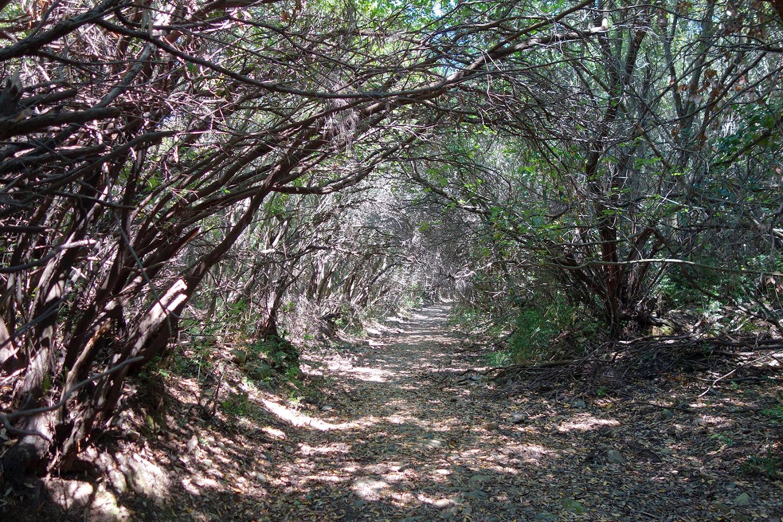 4782 - Απόδραση από το άγχος της σημερινής ημέρας, με αγιορείτικες φωτογραφίες… - Φωτογραφία 18