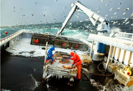 Η δύσκολη δουλειά των ψαράδων στην Αλάσκα! [photos] - Φωτογραφία 1