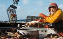 Η δύσκολη δουλειά των ψαράδων στην Αλάσκα! [photos] - Φωτογραφία 9