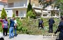 Από τύχη δεν θρηνήσαμε θύματα στο Ναύπλιο όταν δέντρο έπεσε στο δρόμο [photos] - Φωτογραφία 3