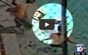 ΣΚΗΝΕΣ ΣΟΚ στη Φλόριντα: Καρέ καρέ οι σκηνές πανικού - Παιδιά έπαθαν ηλεκτροπληξία σε πισίνα! [video]