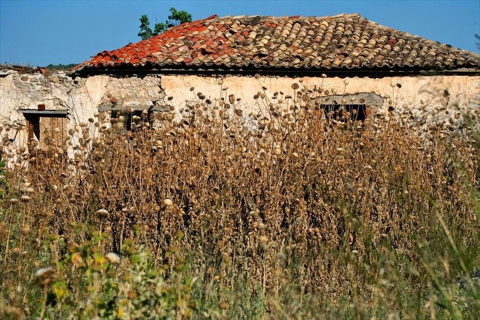 Το χωριό στη Θεσπρωτία που δεν έχει κάτοικους [photos] - Φωτογραφία 9