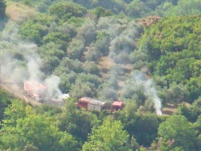 Άσκηση ΔΙΑ ΠΥΡΟΣ 2014 Θεσσαλίας [photos] - Φωτογραφία 3