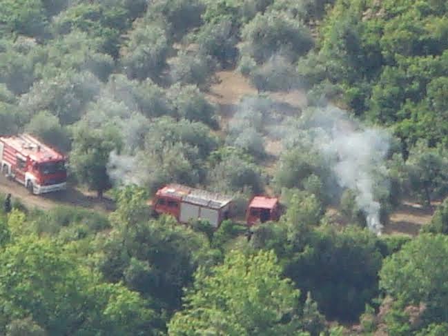 Άσκηση ΔΙΑ ΠΥΡΟΣ 2014 Θεσσαλίας [photos] - Φωτογραφία 4