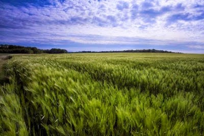 Πως είναι σήμερα τα μέρη όπου διεξήχθησαν διάσημες μάχες κατά τον Α' Παγκόσμιο Πολέμο - Φωτογραφία 10