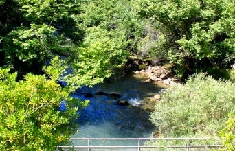Ενδιαφέρον βίντεο από τον Υδροηλεκτρικό Σταθμό του Λάδωνα! - Φωτογραφία 2