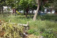 ΣΟΚ! Δίπλα από παιδική χαρά στη Πρέβεζα υπάρχει ένας μικρός Αμαζόνιος - Κινδυνεύουν καθημερινά τα παιδάκια από τα φίδια [photos]
