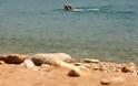 Πάτρα: Άνδρας επιχείρησε να αυτοκτονήσει δύο φορές πέφτοντας στη θάλασσα