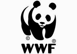 WWF Ελλάς: Πολιτικές που «καίνε» τα δάση - Φωτογραφία 1