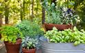 Ιδέες για να διακοσμήσεις τον κήπο ή την βεράντα σου! [photos] - Φωτογραφία 2