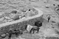 4850 - Κατουνάκια