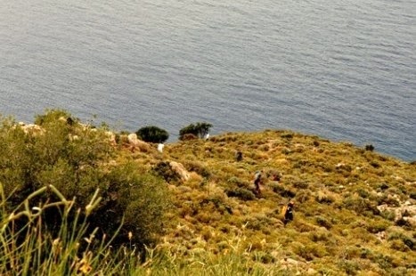 Καρέ-καρέ η διάσωση της 54χρονης Αγγλίδας [photos] - Φωτογραφία 4