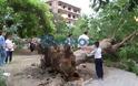 Καλαμάτα: Καταπλακώθηκε 15χρονη από δέντρο - Φωτογραφία 3