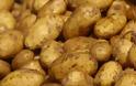 Εντοπίστηκαν στην κεντρική λαχαναγορά του Ρέντη πάνω από 2,5 τόνοι πατάτες που είναι ακατάλληλες για κατανάλωση