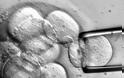 Ελπιδοφόρο νέο! Ανθρώπινα εμβρυϊκά βλαστοκύτταρα θεράπευσαν επιτυχώς τη σκλήρυνση κατά πλάκας σε ποντίκια