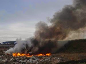 Φωτιά σε σκουπίδια μαύρισε τον ουρανό του Πύργου - Φωτογραφία 1