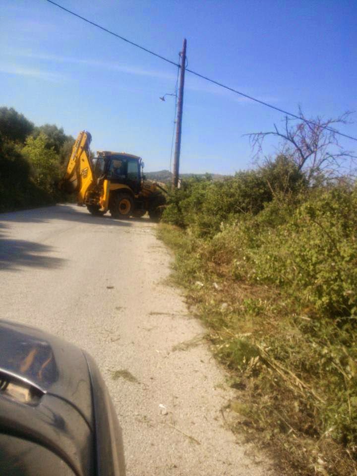 Πήραν το πριόνι και ανέβηκαν στα δέντρα! [photos] - Φωτογραφία 5