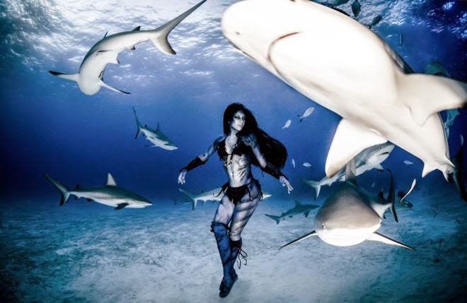 Μοναδικό θέαμα: Ατρόμητη 38χρονη κολυμπά μαζί με τους καρχαρίες [video+photos] - Φωτογραφία 7