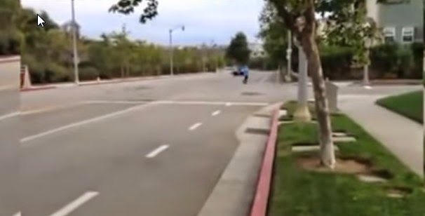 Μια βόλτα με το αυτοκίνητο του κόστισε ο κούκος αηδόνι  [video] - Φωτογραφία 1