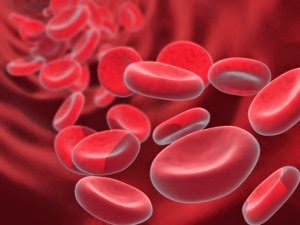 Ανανεώστε καθολικά τον οργανισμό σας! - Φωτογραφία 2