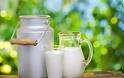 Υποχρεωτικές σε 12 κράτη της Ε.Ε. οι συμβάσεις μεταξύ των κτηνοτρόφων και μεταποιητών για το γάλα