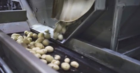 Καρέ-καρέ πώς φτιάχνεται το πιο φημισμένο... πιάτο των McDonald's - Οι τηγανιτές πατάτες - Φωτογραφία 8