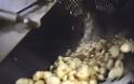 Καρέ-καρέ πώς φτιάχνεται το πιο φημισμένο... πιάτο των McDonald's - Οι τηγανιτές πατάτες - Φωτογραφία 7