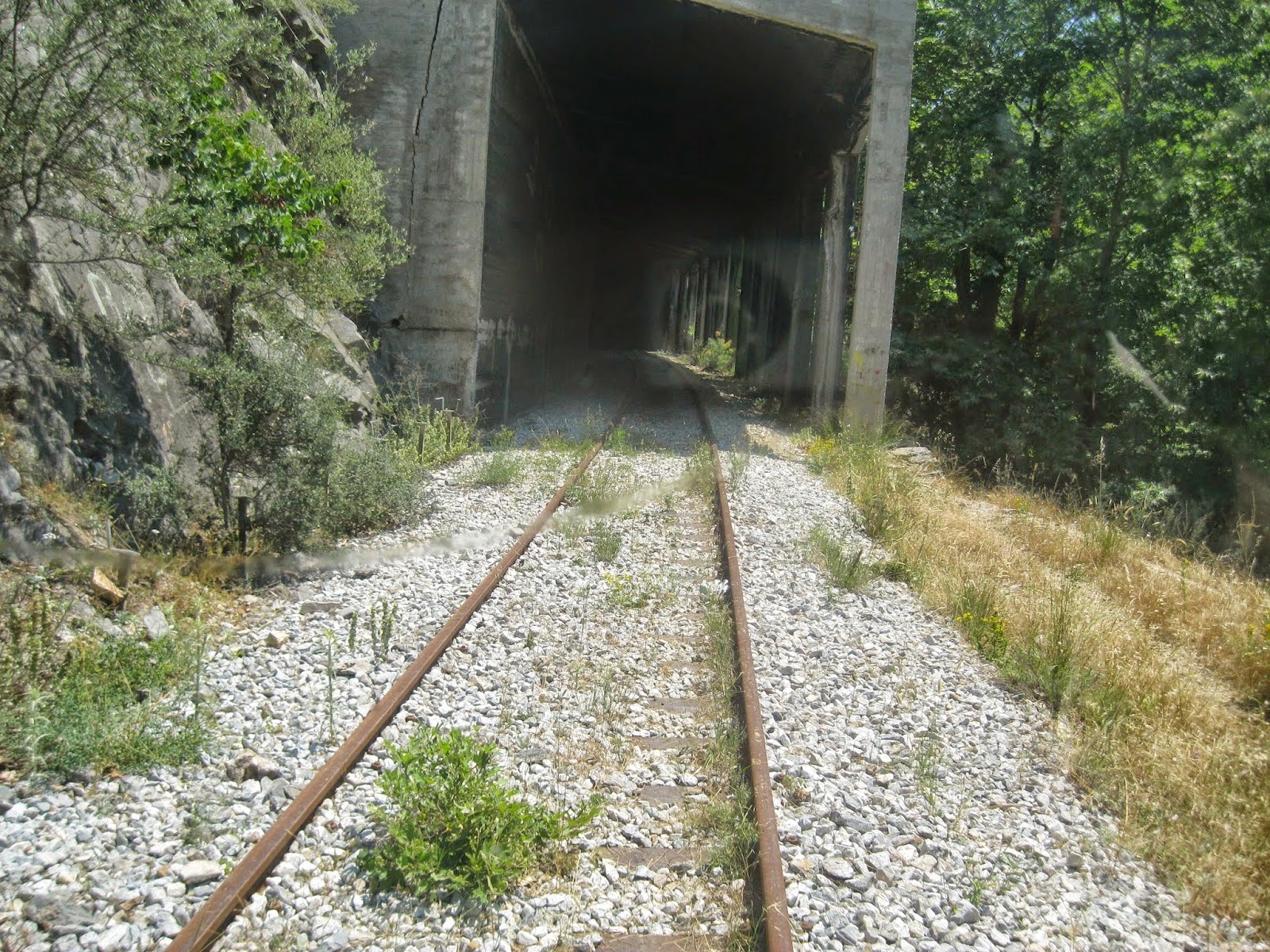 Μοναδική εμπειρία το ταξίδι με το τρενάκι των Τεμπών. Δείτε μοναδικές εικόνες - Φωτογραφία 2