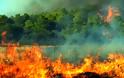Χαλκιδική: Κεραυνός προκάλεσε πυρκαγιά - 1,5 χλμ το πύρινο μέτωπο